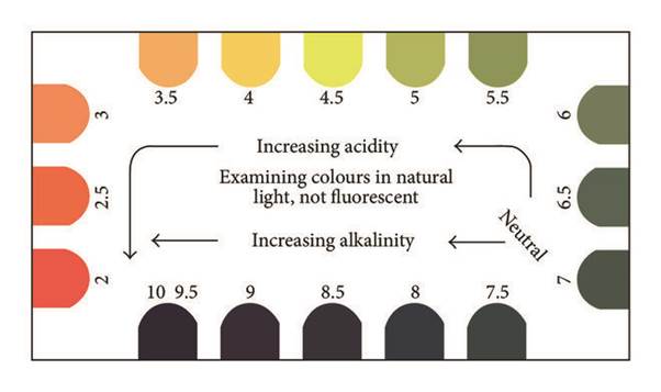 Testing soil pH