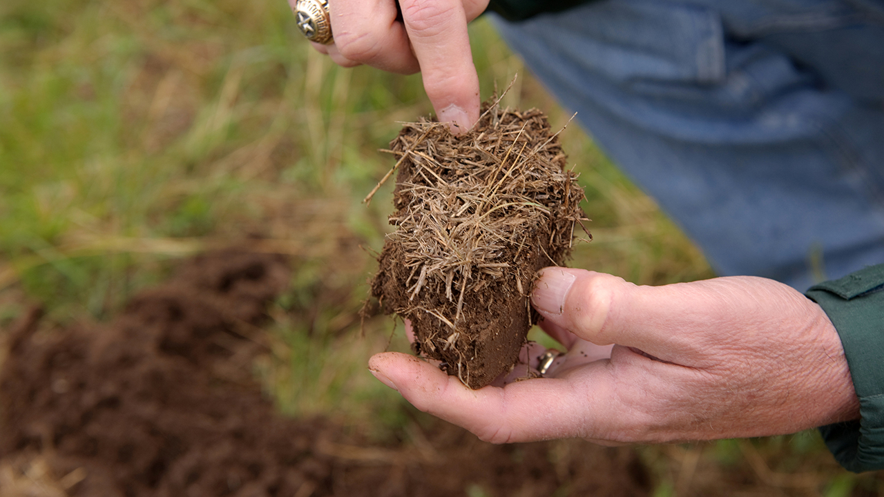 Hand pointing at soil