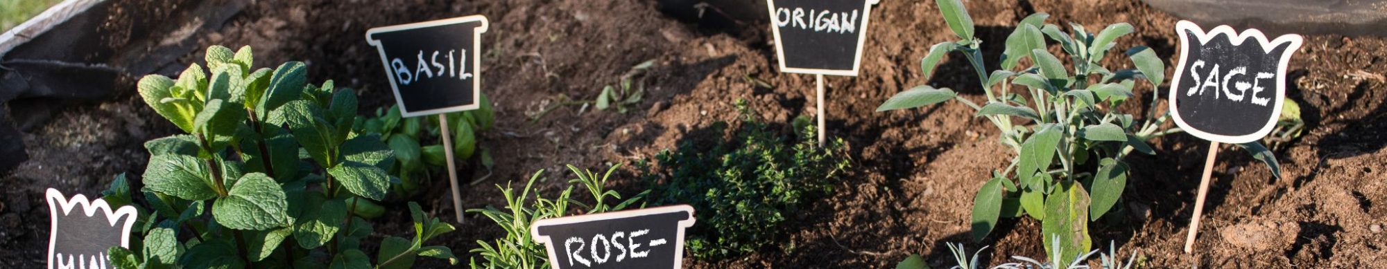 Soil with multiple signs