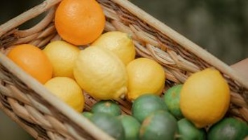 Lemons in basket