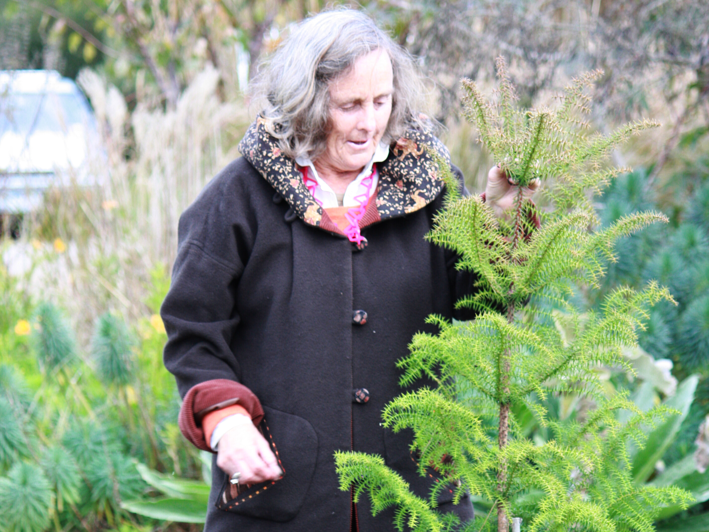 Penny plants a new tree