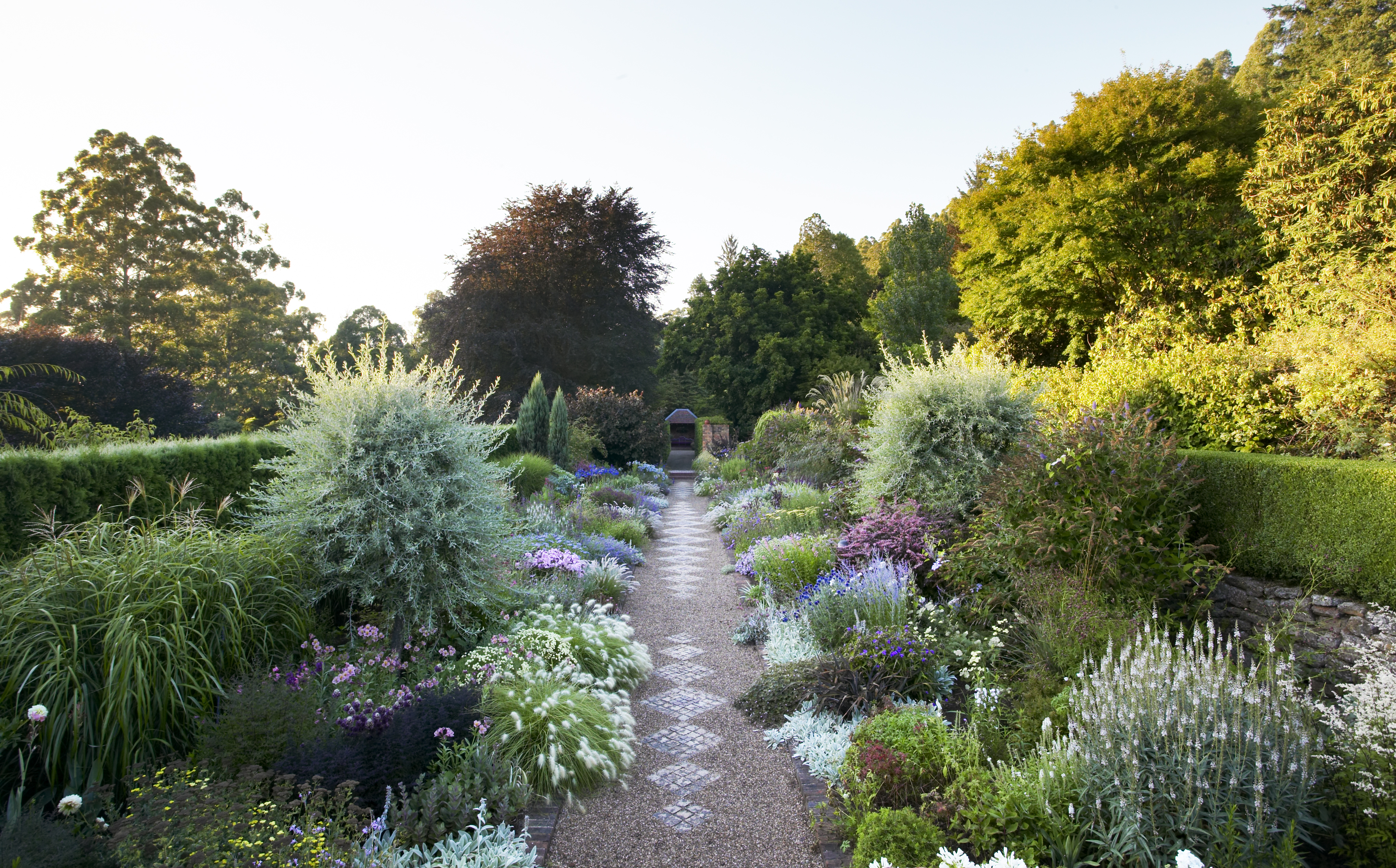 A flowering border at Cloudehill