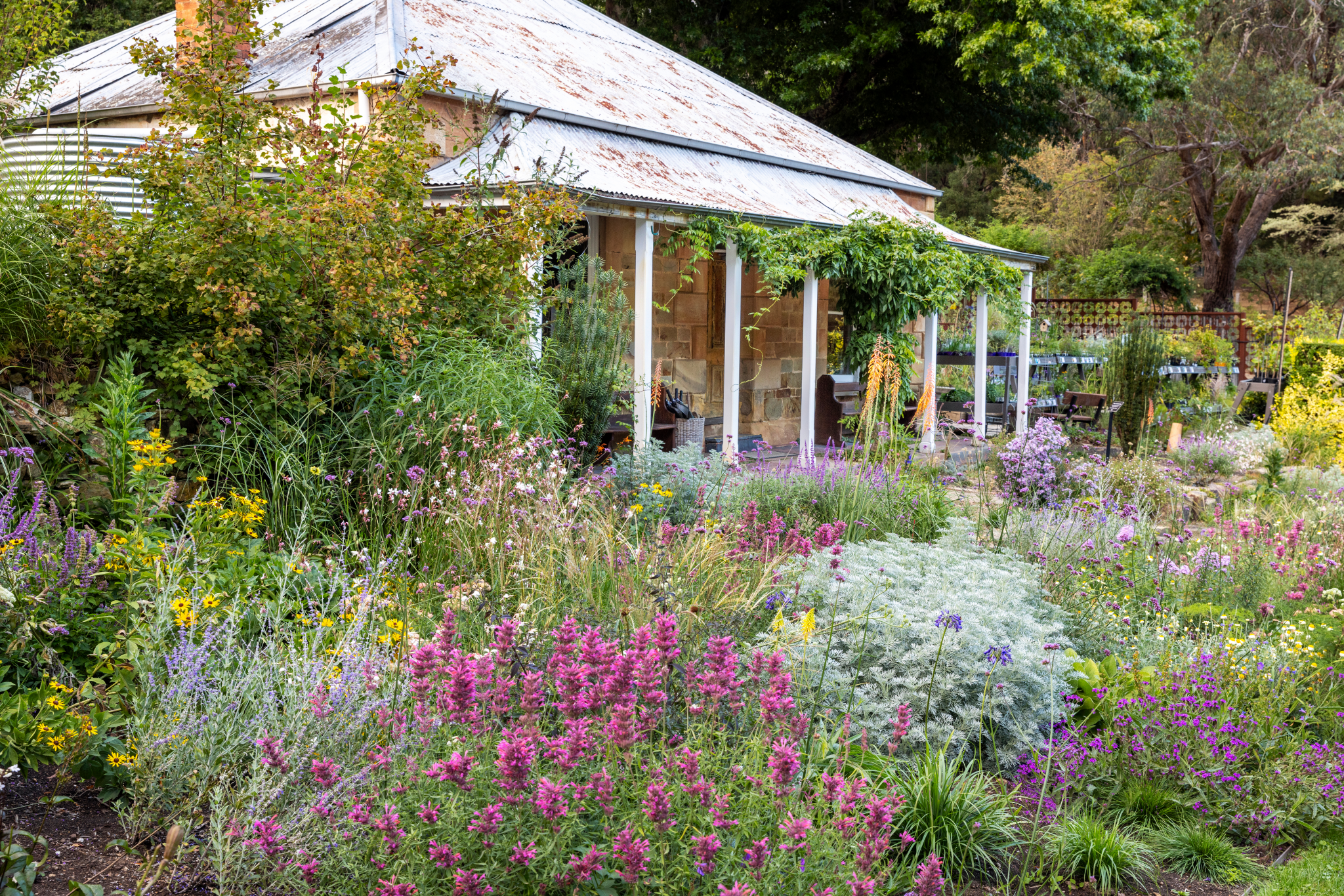 A blossoming perennial border at The Garden of St Erth