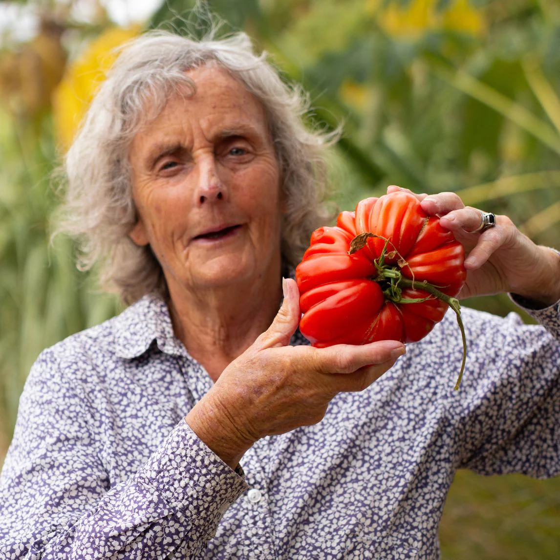 Penny with a tomato