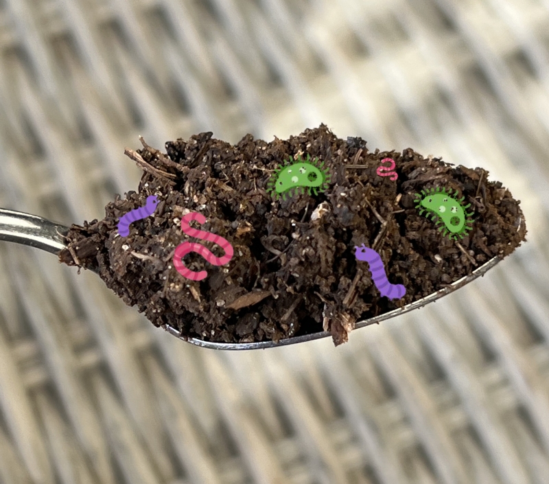 Teaspoon of Healthy Soil