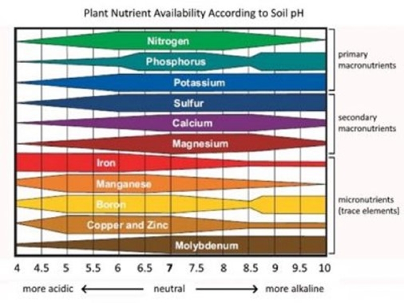 Plant nutrient values