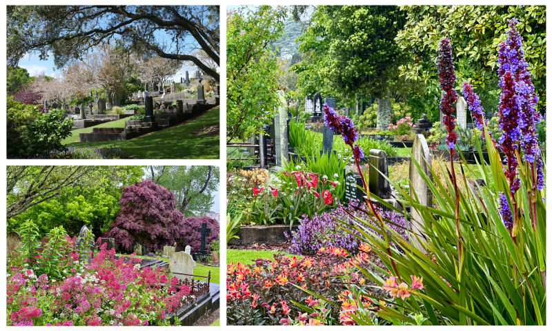 A collage of three images of flowers at Te Henui Cemetery.