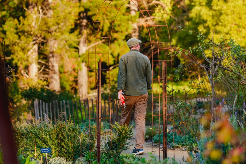 Julian walks through the garden