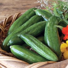 Lebanese mini muncher