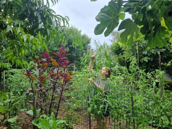 Alex Miller in Garden