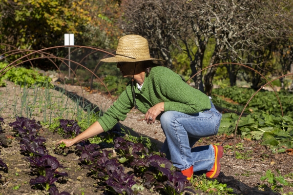 A woman in a green top and blue jeans tends a garden