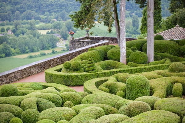 A French garden with hedges